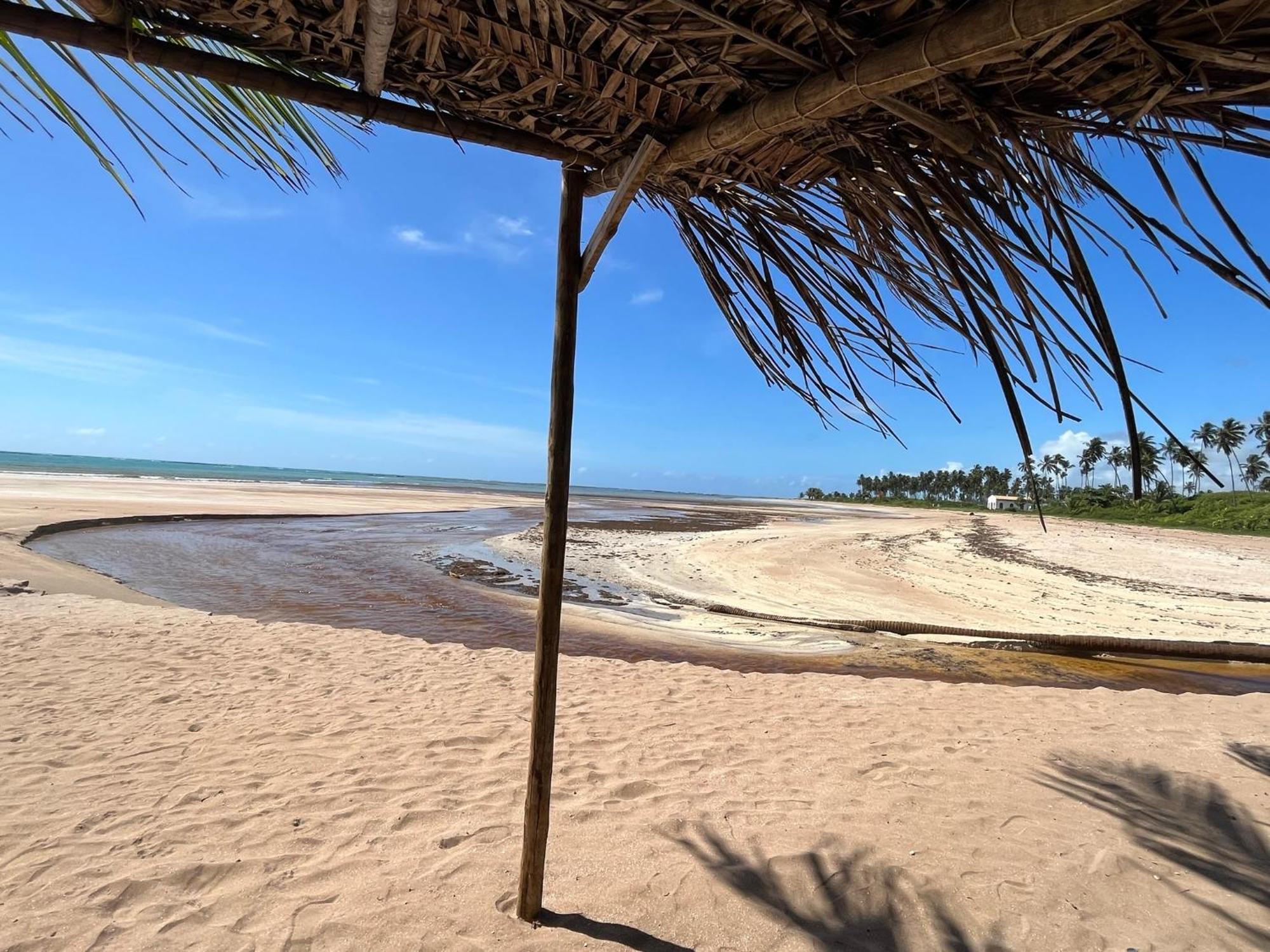 Casa Com Piscina - Milagres - Praia E Capela São Miguel dos Milagres Eksteriør billede